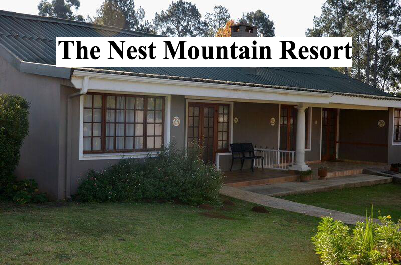 The_Nest_3 The_Nest_3